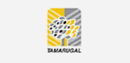 Tamarugal